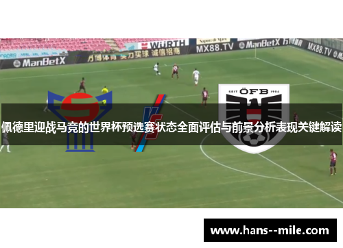 佩德里迎战马竞的世界杯预选赛状态全面评估与前景分析表现关键解读