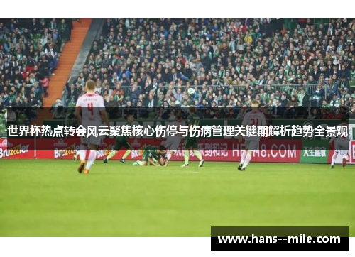 世界杯热点转会风云聚焦核心伤停与伤病管理关键期解析趋势全景观 世界杯热点转会风云聚焦核心伤停与伤病管理关键期解析趋势全景观